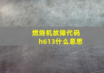 燃烧机故障代码h613什么意思