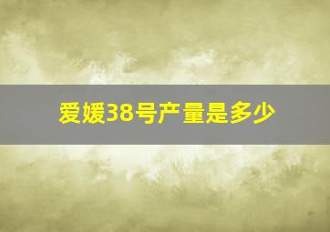 爱媛38号产量是多少