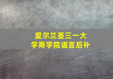 爱尔兰圣三一大学商学院语言后补