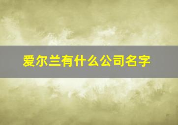 爱尔兰有什么公司名字