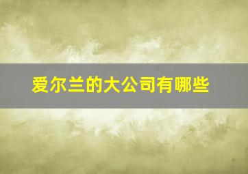 爱尔兰的大公司有哪些