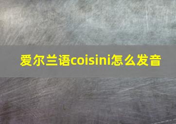 爱尔兰语coisini怎么发音