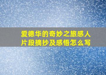 爱德华的奇妙之旅感人片段摘抄及感悟怎么写