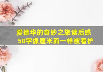 爱德华的奇妙之旅读后感50字像厘米而一样被看护