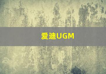 爱迪UGM