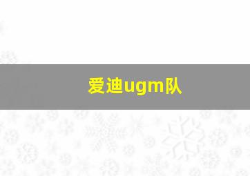 爱迪ugm队