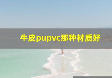 牛皮pupvc那种材质好