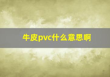 牛皮pvc什么意思啊