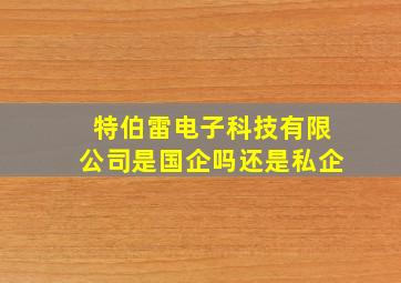 特伯雷电子科技有限公司是国企吗还是私企