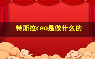 特斯拉ceo是做什么的