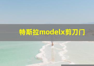 特斯拉modelx剪刀门