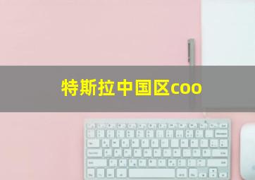 特斯拉中国区coo