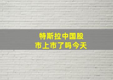 特斯拉中国股市上市了吗今天