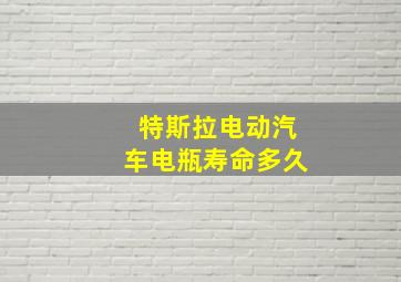 特斯拉电动汽车电瓶寿命多久