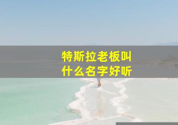 特斯拉老板叫什么名字好听