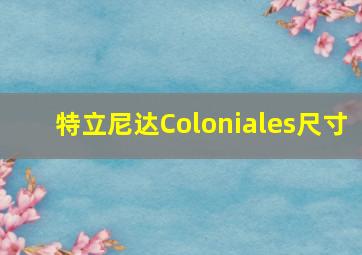 特立尼达Coloniales尺寸