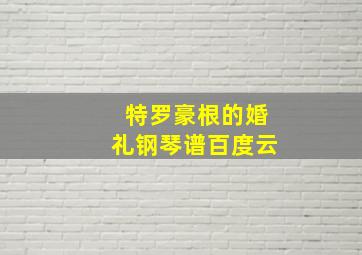 特罗豪根的婚礼钢琴谱百度云