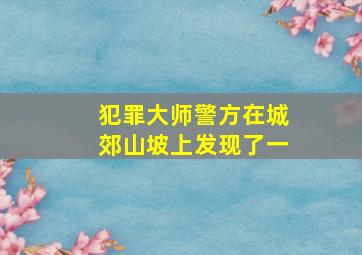 犯罪大师警方在城郊山坡上发现了一