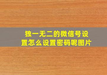 独一无二的微信号设置怎么设置密码呢图片