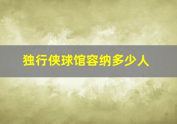 独行侠球馆容纳多少人