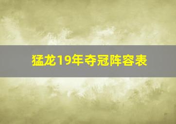 猛龙19年夺冠阵容表