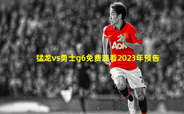 猛龙vs勇士g6免费观看2023年预告