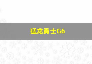 猛龙勇士G6