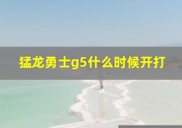 猛龙勇士g5什么时候开打