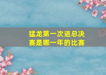 猛龙第一次进总决赛是哪一年的比赛