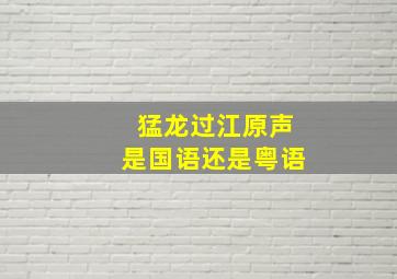 猛龙过江原声是国语还是粤语