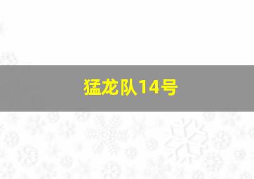 猛龙队14号