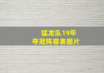 猛龙队19年夺冠阵容表图片