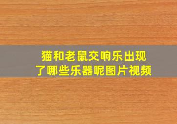 猫和老鼠交响乐出现了哪些乐器呢图片视频