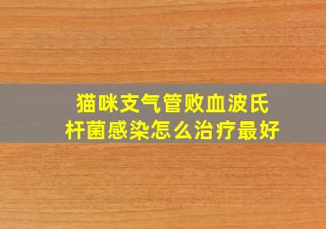 猫咪支气管败血波氏杆菌感染怎么治疗最好