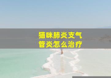 猫咪肺炎支气管炎怎么治疗