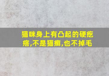 猫咪身上有凸起的硬疙瘩,不是猫癣,也不掉毛