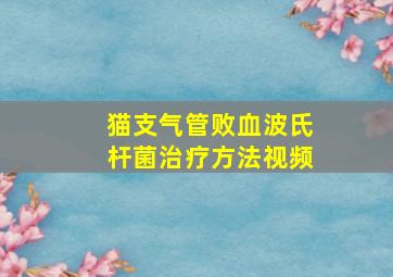 猫支气管败血波氏杆菌治疗方法视频