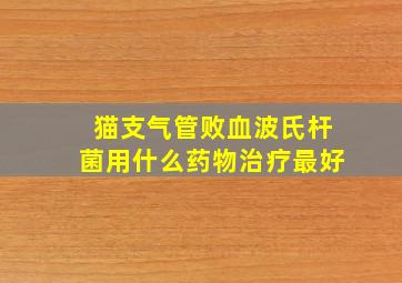 猫支气管败血波氏杆菌用什么药物治疗最好