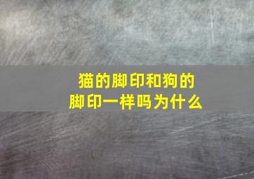 猫的脚印和狗的脚印一样吗为什么