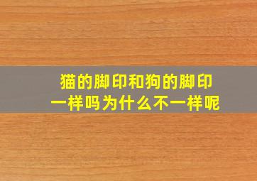 猫的脚印和狗的脚印一样吗为什么不一样呢