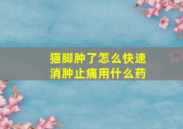 猫脚肿了怎么快速消肿止痛用什么药