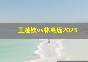 王楚钦vs林高远2023