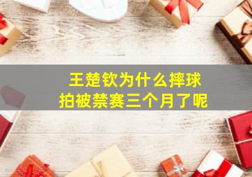 王楚钦为什么摔球拍被禁赛三个月了呢