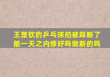 王楚钦的乒乓球拍被踩断了能一天之内修好吗做新的吗