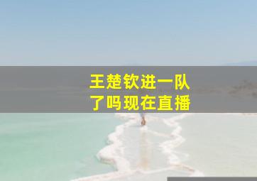 王楚钦进一队了吗现在直播