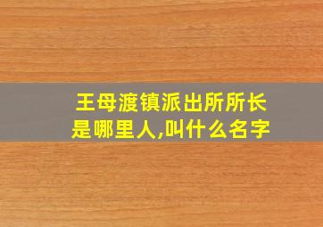 王母渡镇派出所所长是哪里人,叫什么名字