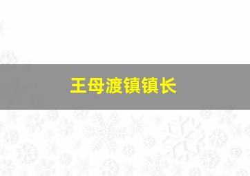 王母渡镇镇长