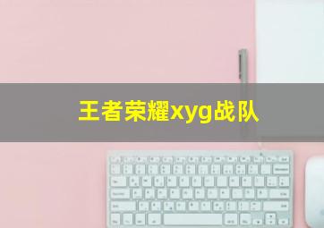 王者荣耀xyg战队