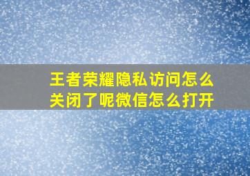 王者荣耀隐私访问怎么关闭了呢微信怎么打开