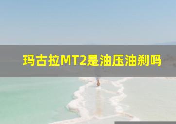 玛古拉MT2是油压油刹吗